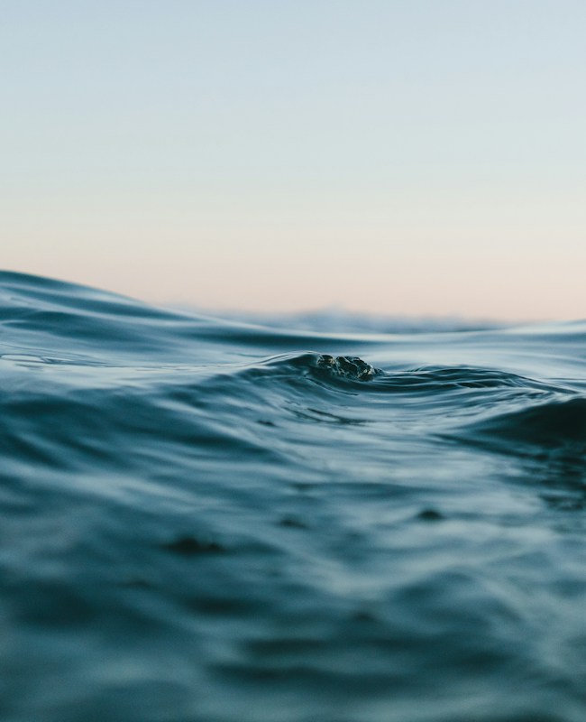 Ocean waves for a weekend recap